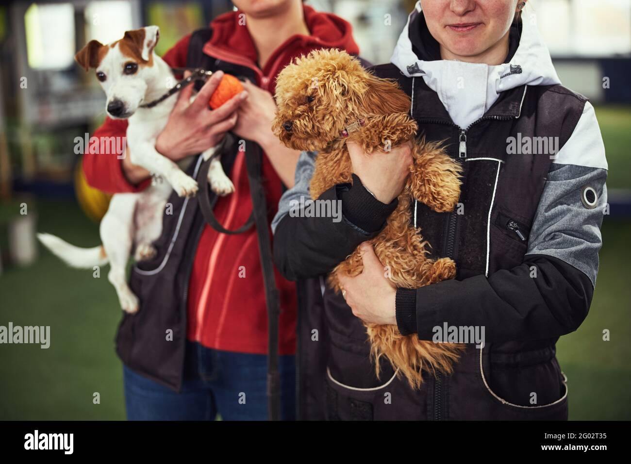 celos familia Destrucción Dos manipuladores de perros posando para la cámara con cachorros lindos  Fotografía de stock - Alamy