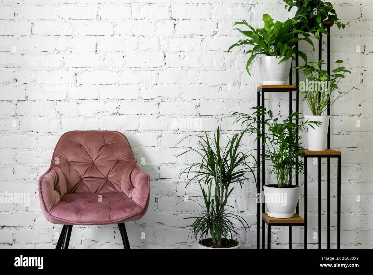 moderno interior minimalista con silla rosa y soporte verde plantas domésticas sobre fondo de pared de ladrillo blanco Foto de stock