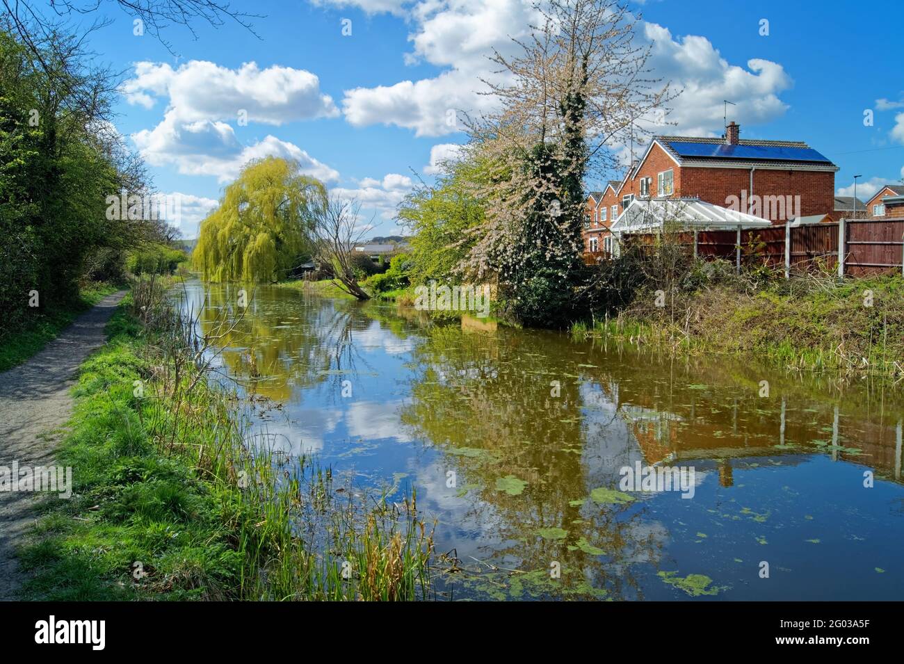 Reino Unido, South Yorkshire, Barnsley, Elsecar Canal y sendero con flor en flor Foto de stock