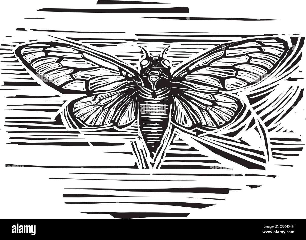 Grabado en madera de estilo expresionista de Brood X Cicada con sus las alas se extienden Ilustración del Vector