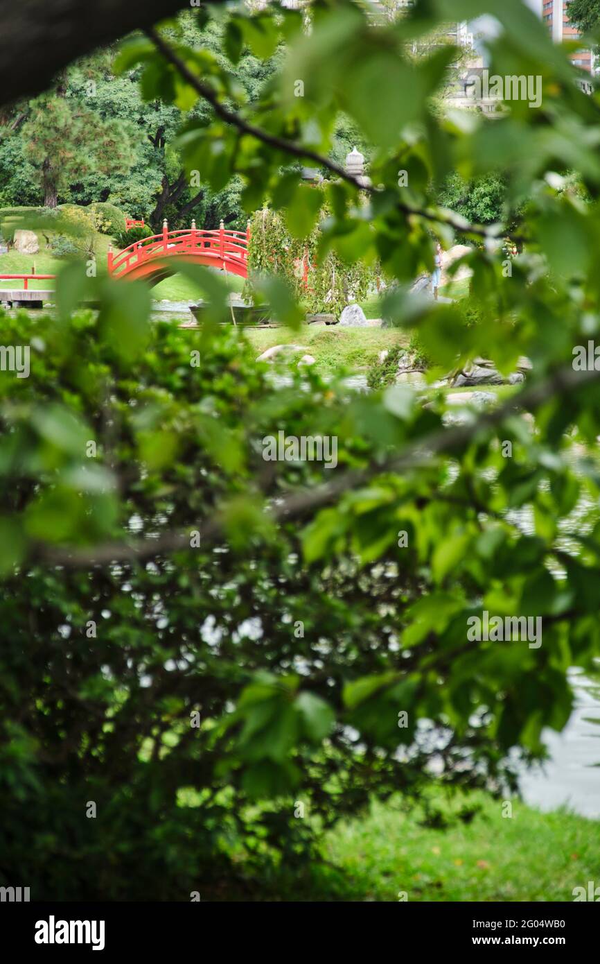 Jardín Japonés de Buenos Aires, Argentina. El Taiko Bashi, un puente curvo de color rojo con forma de arco tradicional que es emblemático del lugar, repr Foto de stock