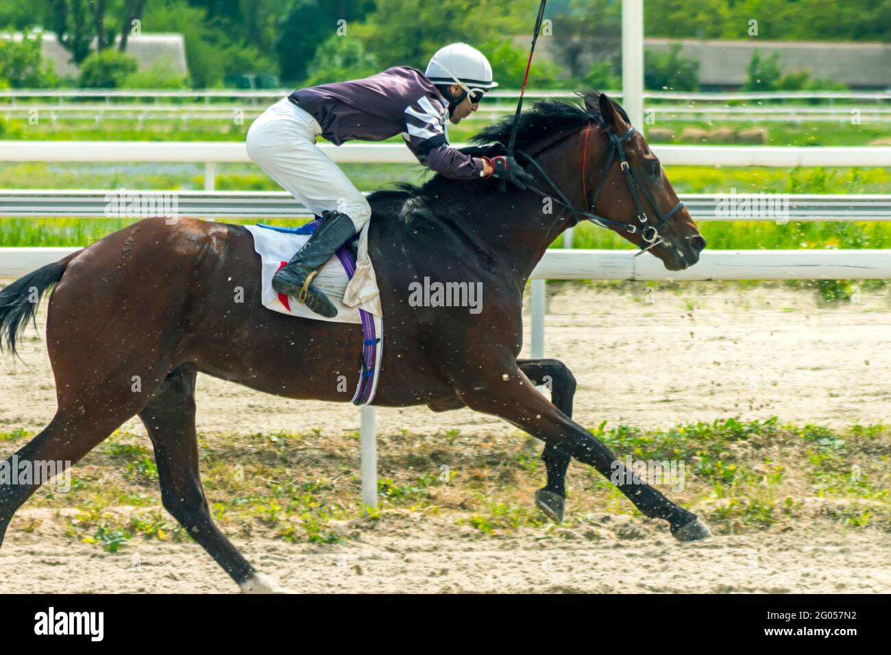 PYATIGORSK,RUSIA - 30,2021 DE MAYO: Carrera de caballos al Premio Abierto,  por delante del jinete Guseinov Timur en el semental árabe Strazh Tersk en  el hipodrom Pyatigorsk Fotografía de stock - Alamy