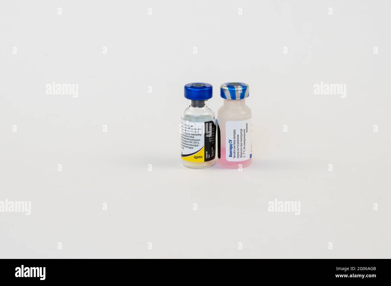 Vacuna Vanguard Plus 5/CVL sobre blanco. Vacuna para animales por Pfizer,  EE.UU. Destinado a la vacunación de perros contra la peste, la hepatitis  infecciosa, coron Fotografía de stock - Alamy