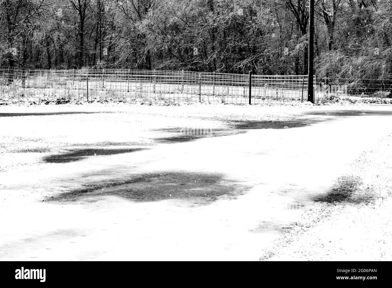 Un paisaje blanco y negro bonito en la zona rural de Missouri en un frío día de invierno con nieve y charcos de agua en el suelo. Efecto bokeh. Foto de stock