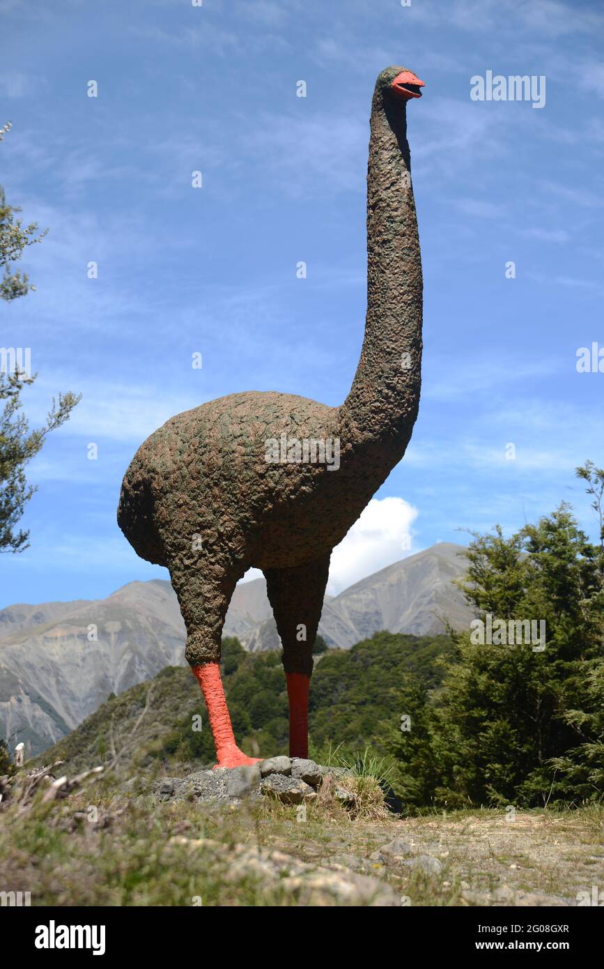 Moa Bird Fotos E Imagenes De Stock Alamy