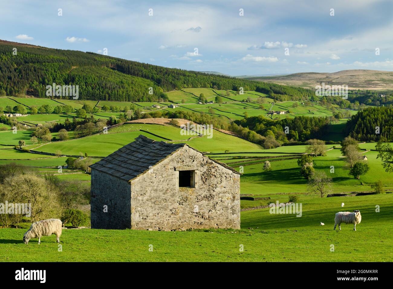 Paisaje rural de Wharfedale (valle, laderas, granero rústico aislado, paredes de piedra seca, pastos verdes de tierras de labranza) - Yorkshire Dales, Inglaterra, Reino Unido. Foto de stock