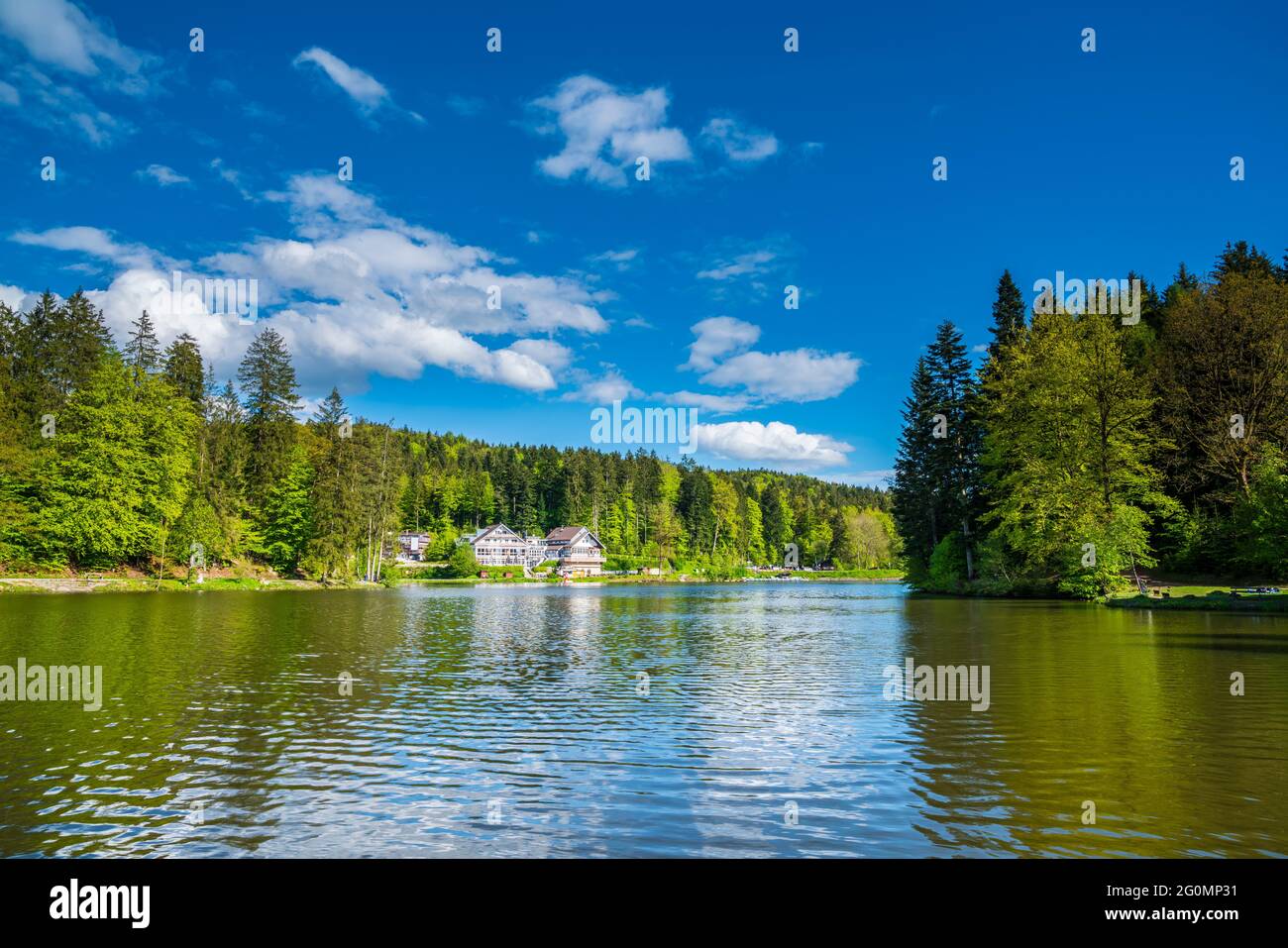 Alemania, lago Ebnisee cerca de kaisersbach en idílico bosque verde paisaje natural con casas antiguas y hermoso paisaje bajo cielo azul Foto de stock