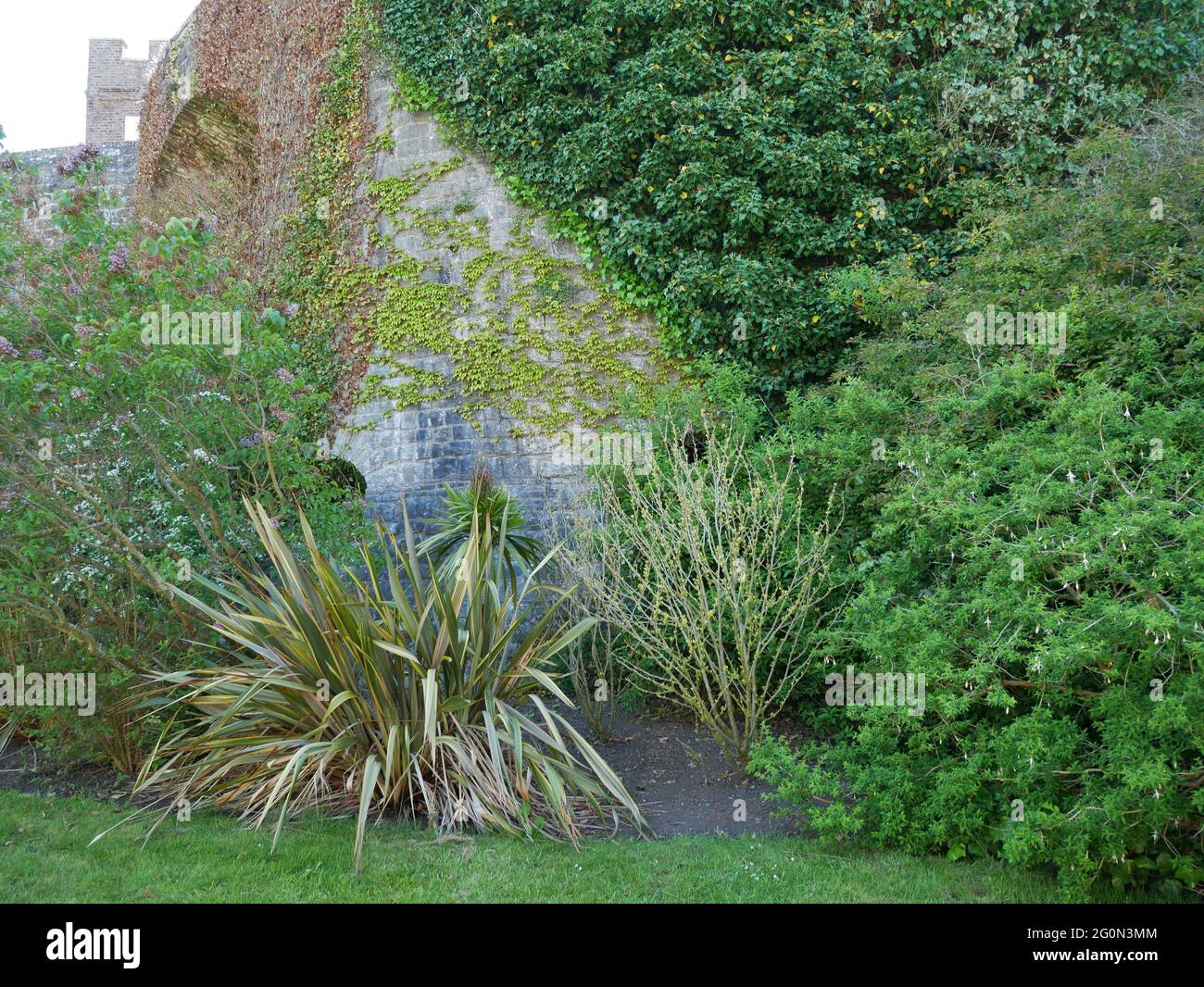 Walmer Castle, Kent, Inglaterra Foto de stock