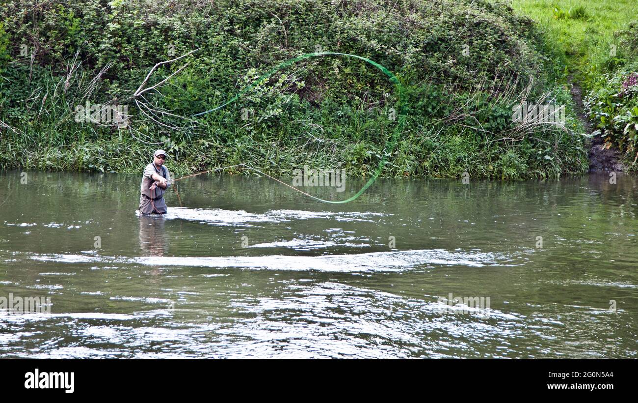 Pesca con mosca en el río Torridge, Devon, Reino Unido Foto de stock
