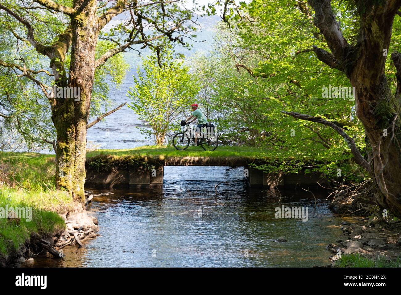 Ciclista en bicicleta en bicicleta (bicicleta eléctrica) en el Great Trossachs Path, Loch Katrine, Escocia, Reino Unido Foto de stock