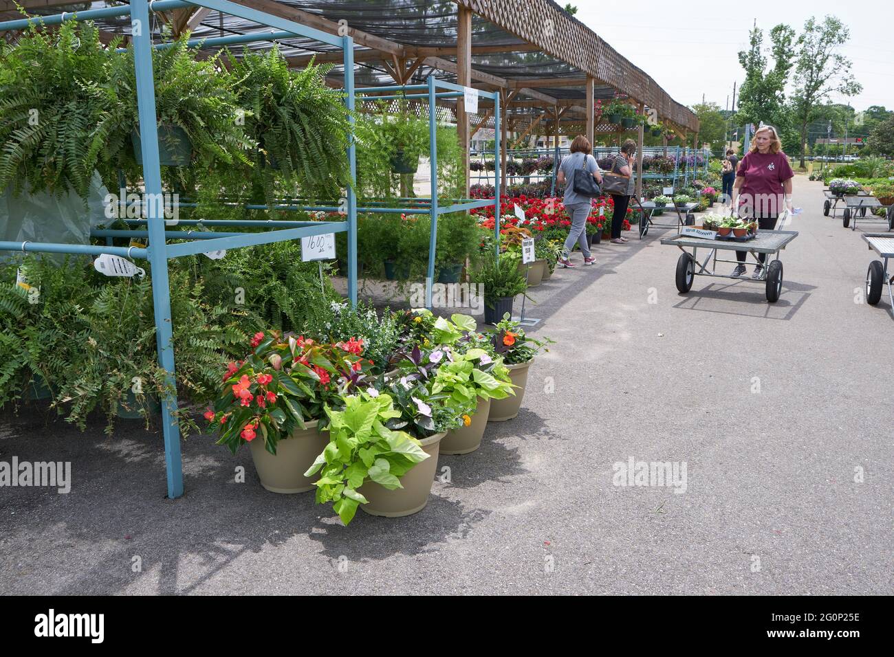 Centro de jardín al aire libre con gente que compra y compra plantas y flores en Montgomery Alabama, Estados Unidos. Foto de stock