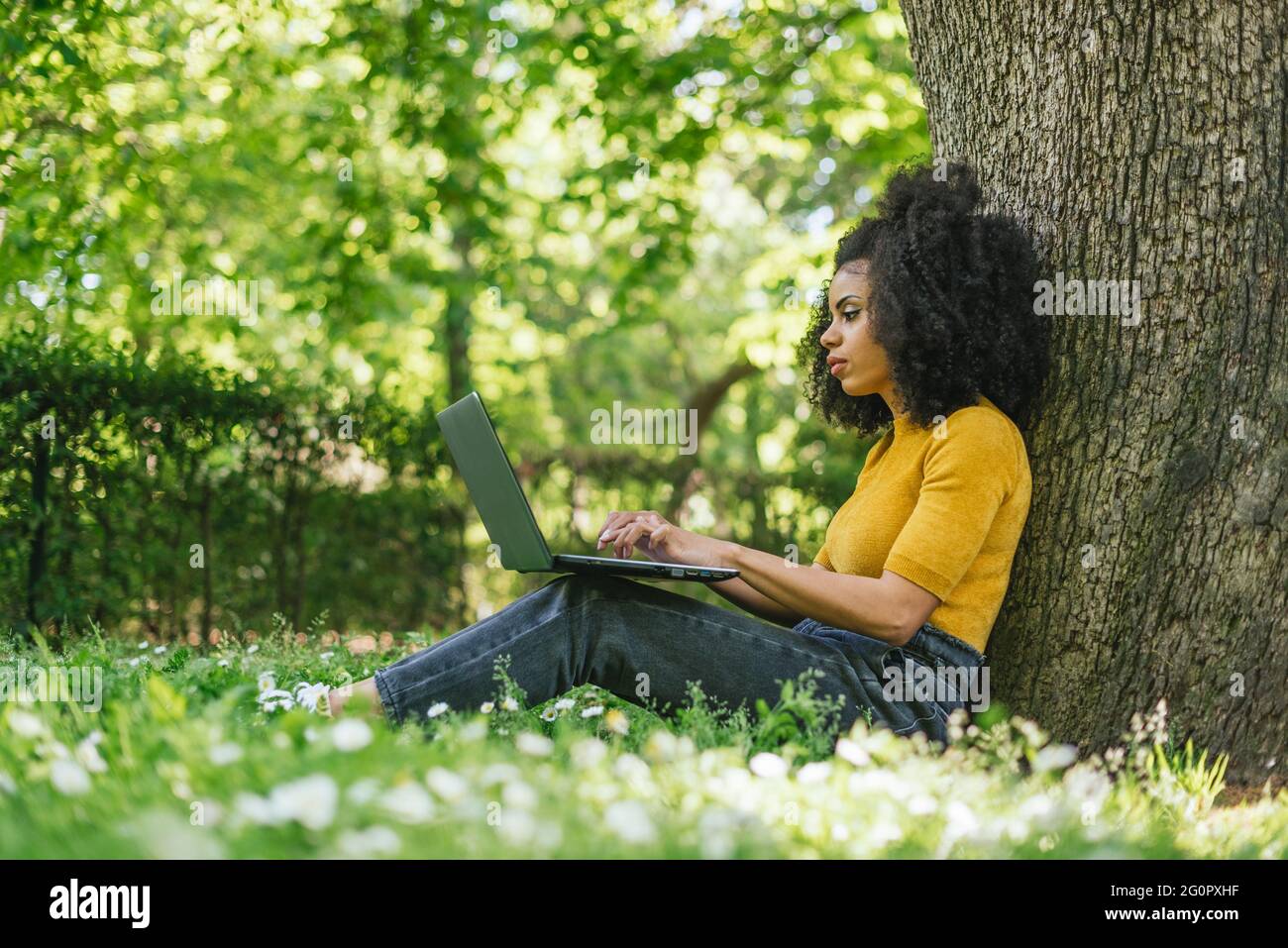 Mujer afro hermosa mecanografiando en un ordenador portátil en un jardín. Foto de stock