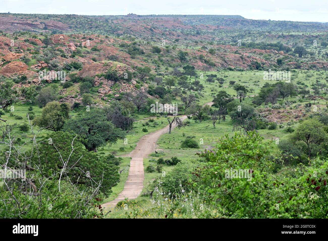 El parque nacional de Mapungubwe es Patrimonio de la Humanidad en Limpopo, Sudáfrica Foto de stock