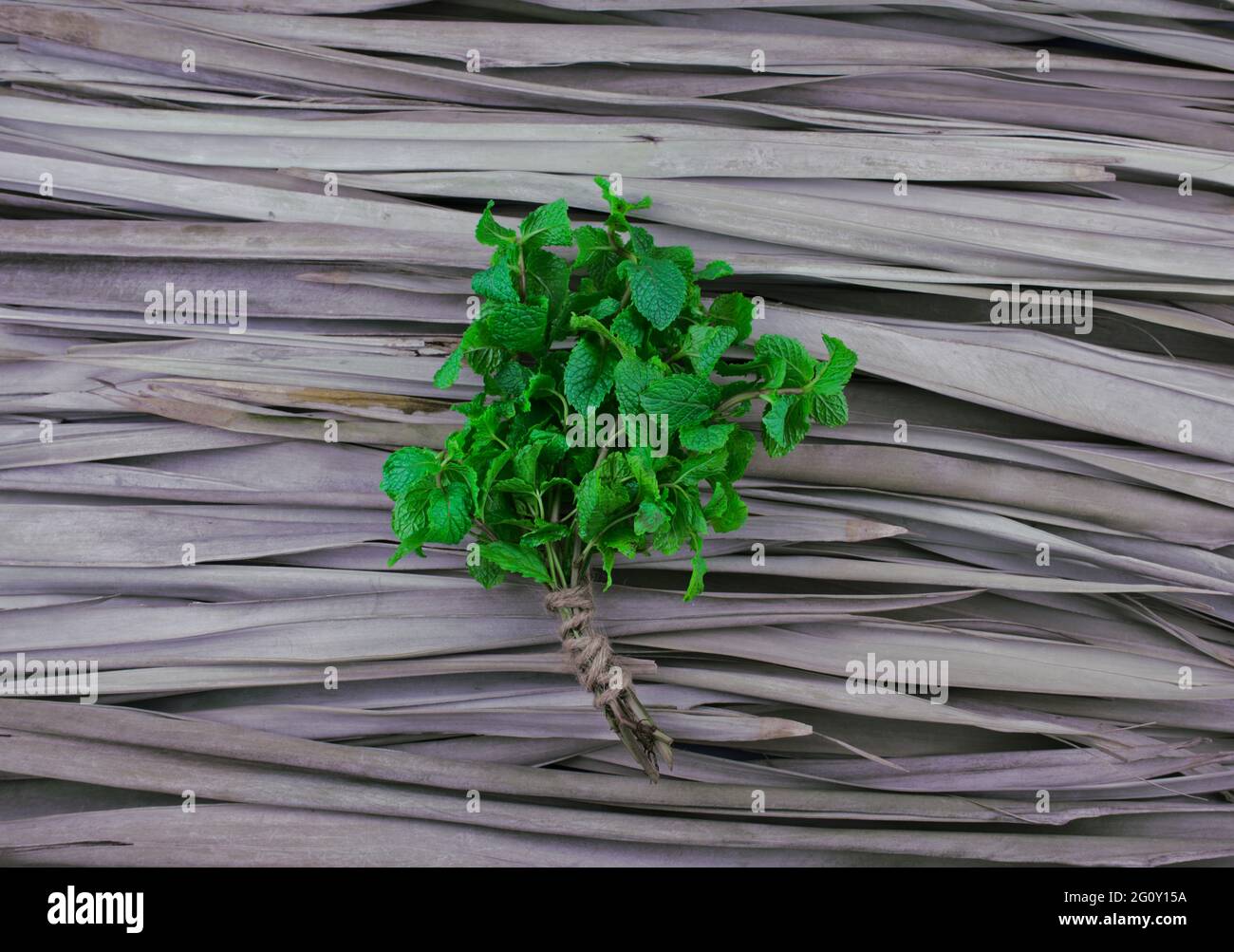 Mentol Natural Fotos e Imágenes de stock - Alamy