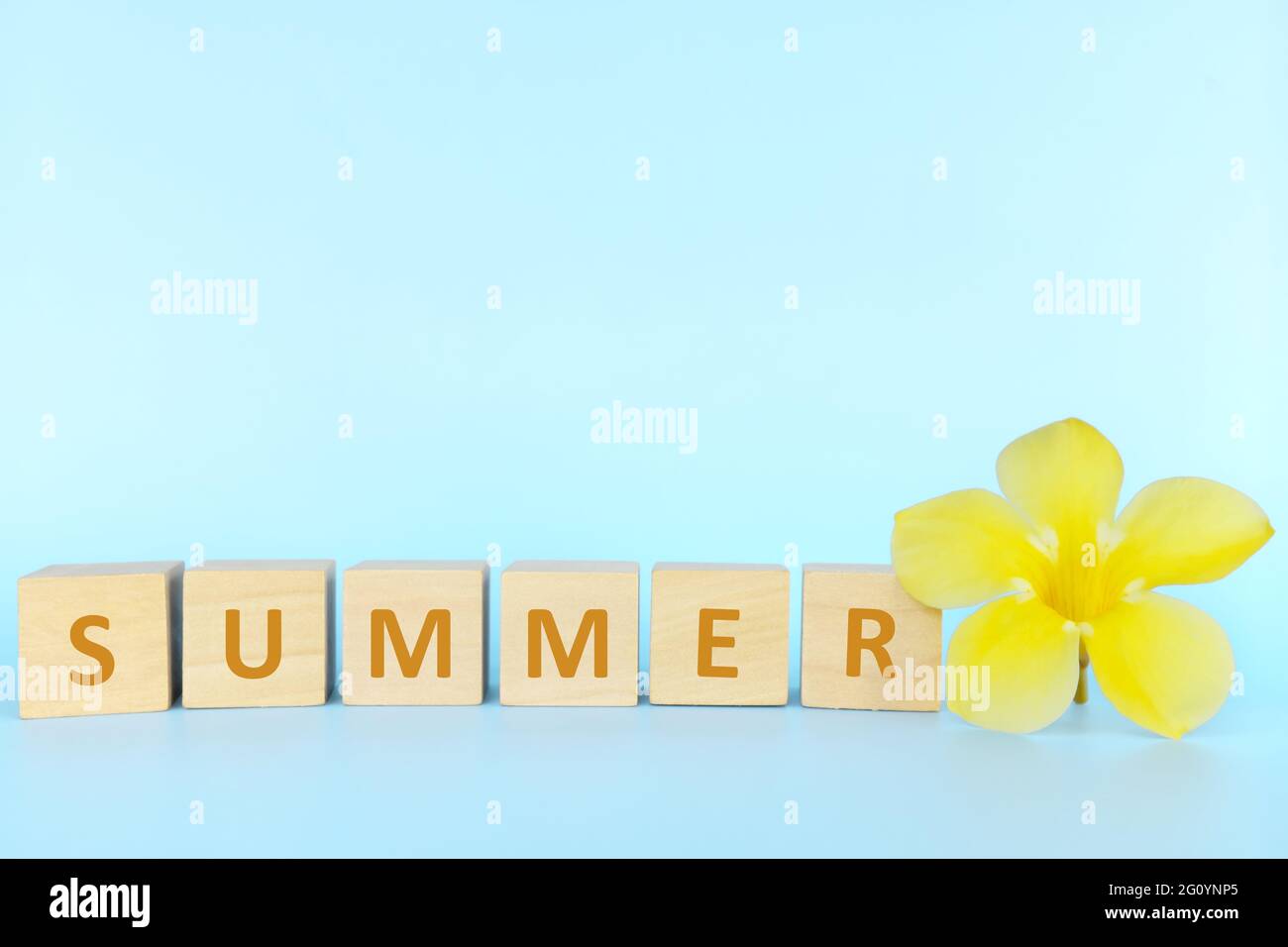 Bienvenida y hola temporada de verano concepto. Palabra de verano sobre bloques de madera con flores amarillas brillantes. Foto de stock