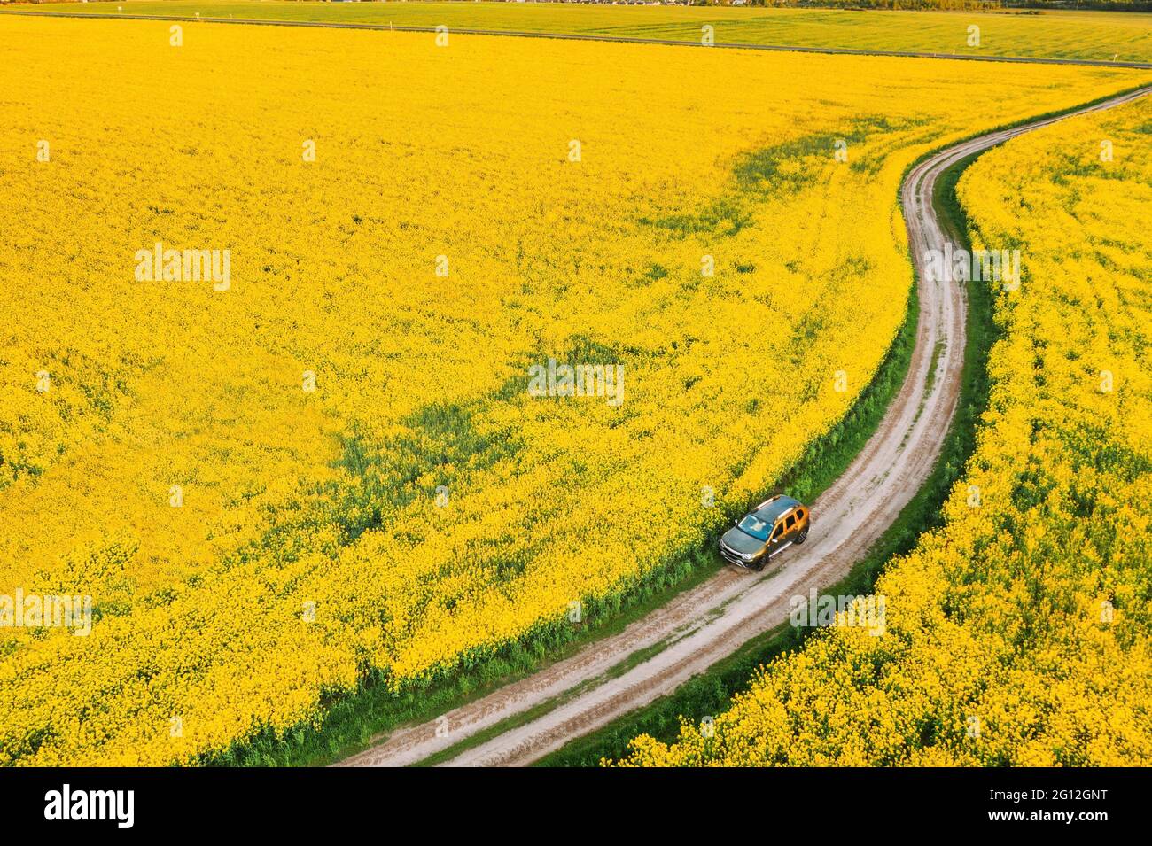 Vista aérea del coche SUV estacionado cerca de la carretera de campo en Spring Field paisaje rural. Floración semillas de colza, oleaginosas en la pradera de campo en primavera Foto de stock