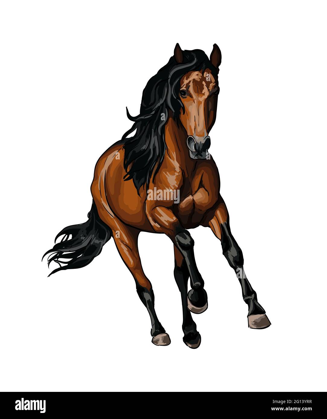 Dibujo realista de un caballo fotografías e imágenes de alta resolución -  Alamy