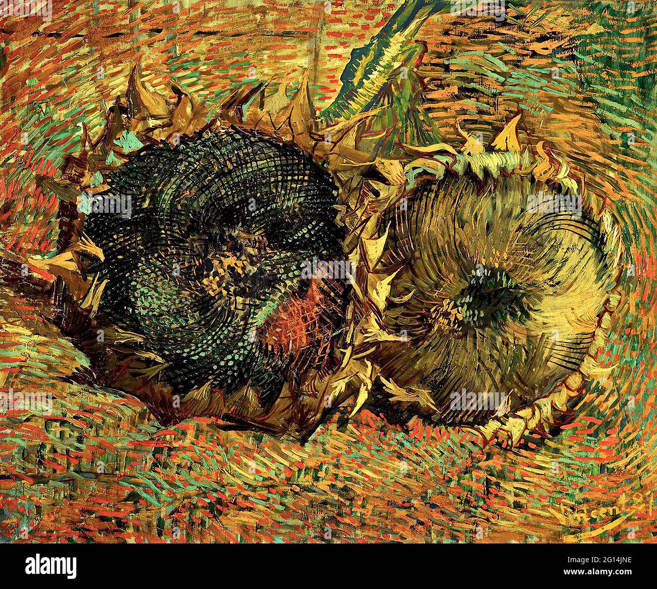 Vincent Van Gogh - Girasoles 04 Foto de stock