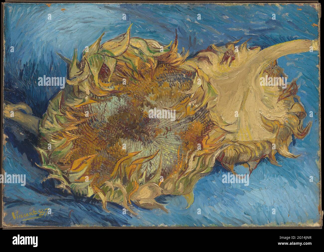 Vincent Van Gogh - Girasoles 05 Foto de stock