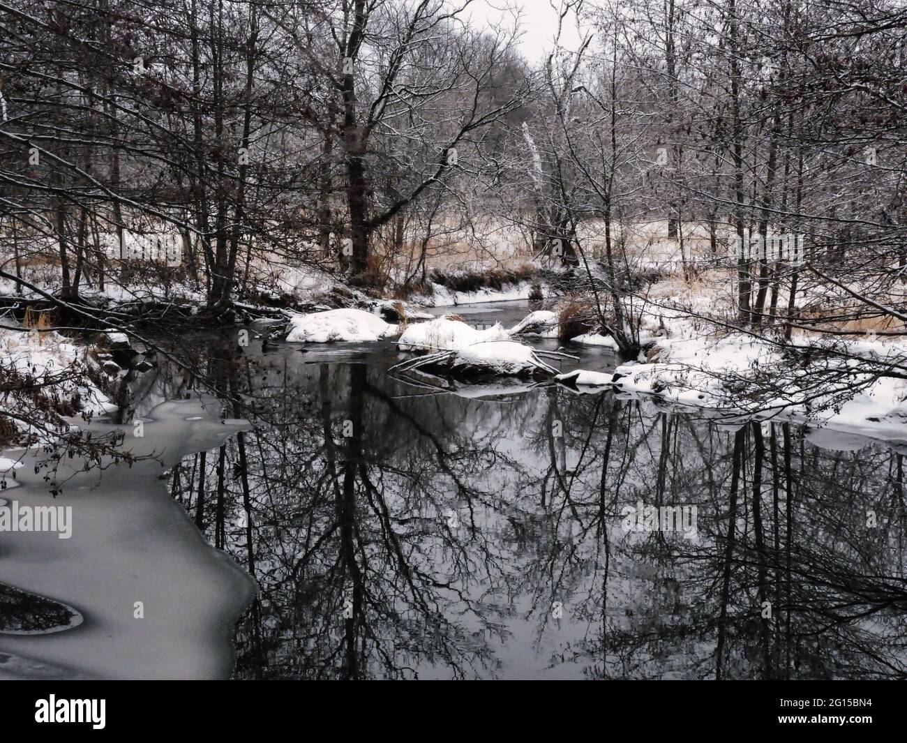 Río en invierno: Un río se abre en un pequeño estanque con casas de almizcleros en el agua cubierta de nieve Foto de stock