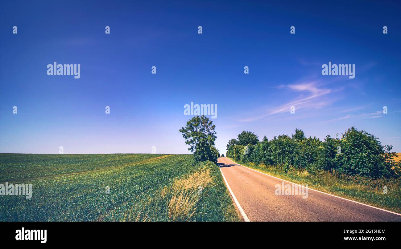 En un camino rural en un cálido día de verano temprano en la mañana, tomado en perspectiva desapareciendo y perspectiva central junto a campos y prados. Foto de stock
