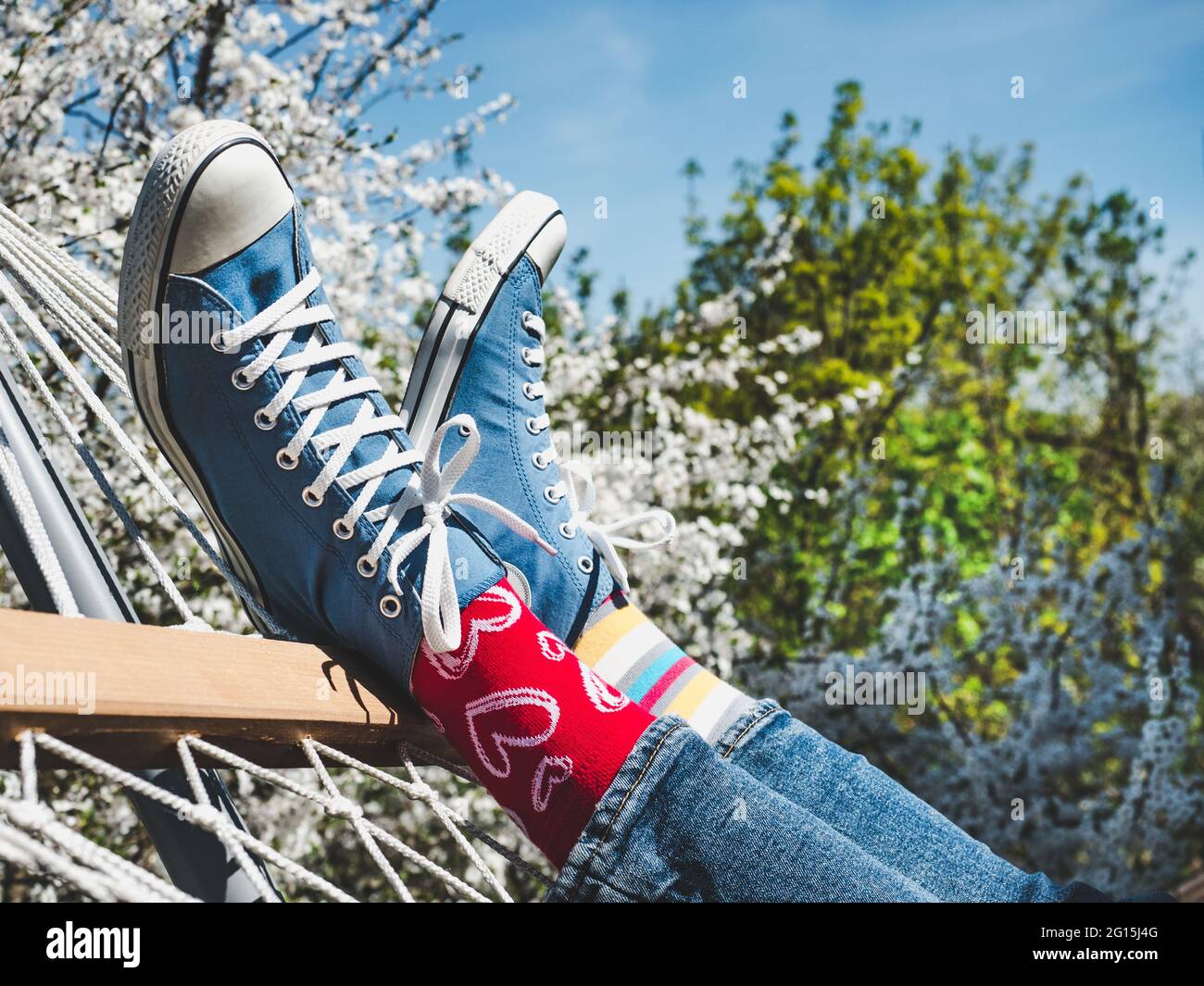 Zapatillas de lona de moda y calcetines brillantes sobre el fondo de un  árbol en flor. Primer plano. Estilo para hombre y mujer. Belleza, concepto  de elegancia Fotografía de stock - Alamy
