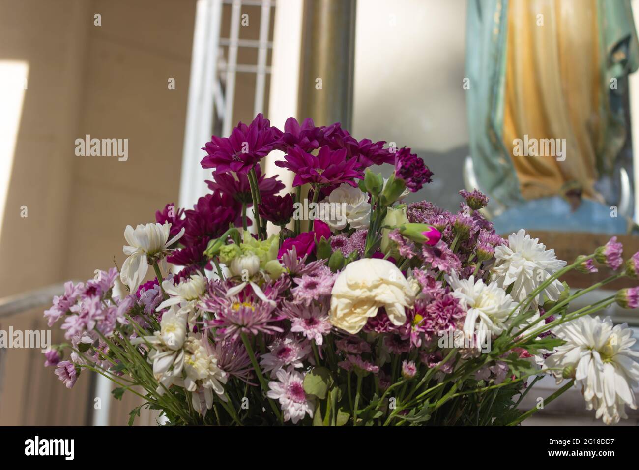 de flores fotografías e de alta resolución - Alamy
