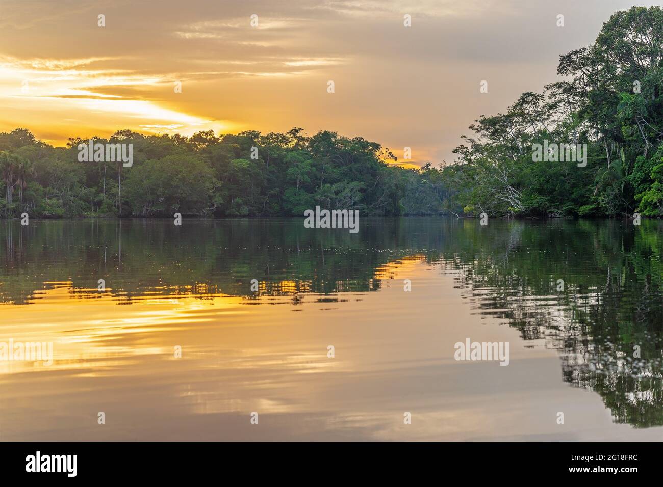 Puesta de sol de la laguna de la selva amazónica, paisaje genérico encontrado en Brasil, Bolivia, Colombia, Ecuador, Guyana Francesa, Surinam, Perú, Venezuela. Foto de stock