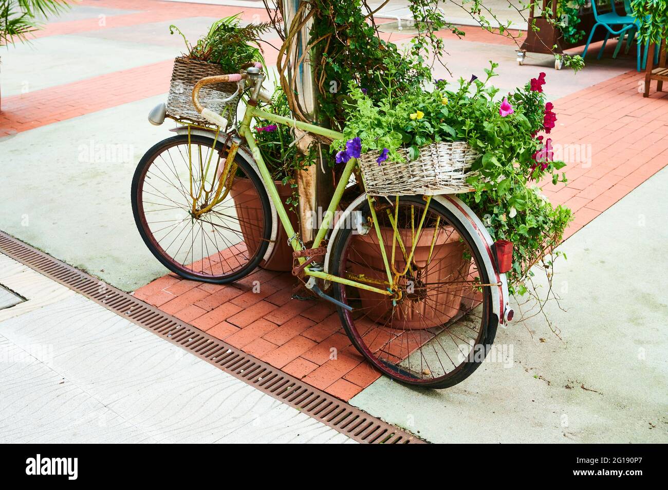 Bicicleta antigua con flores en la calle, Laredo, Cantabria, España, Europa  Fotografía de stock - Alamy