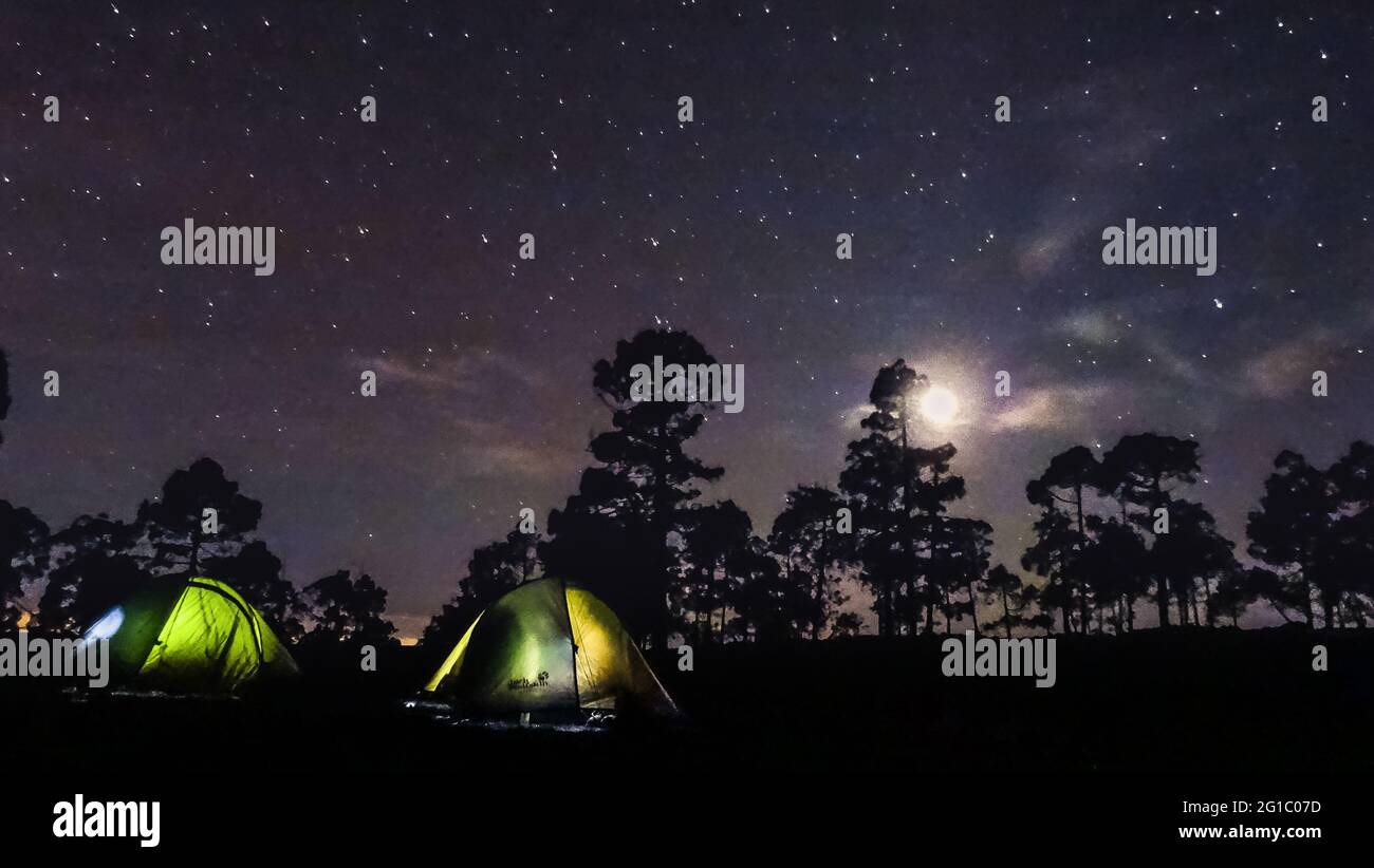 tiendas de campaña por la noche a la luz de la luna en la corona forestal de tenerife Foto de stock