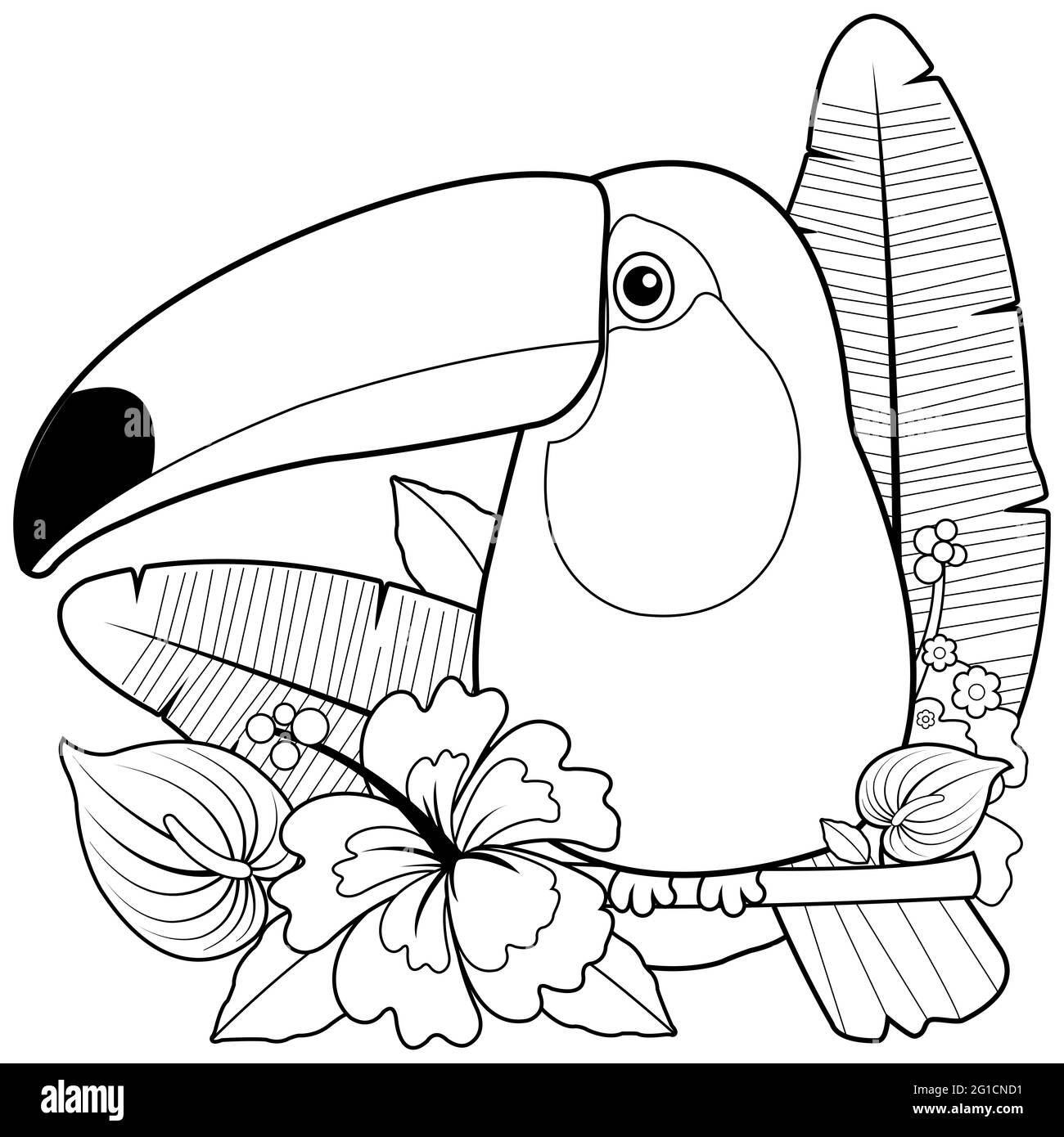 Aves tucán y plantas exóticas y flores. Página para colorear en blanco y negro. Foto de stock