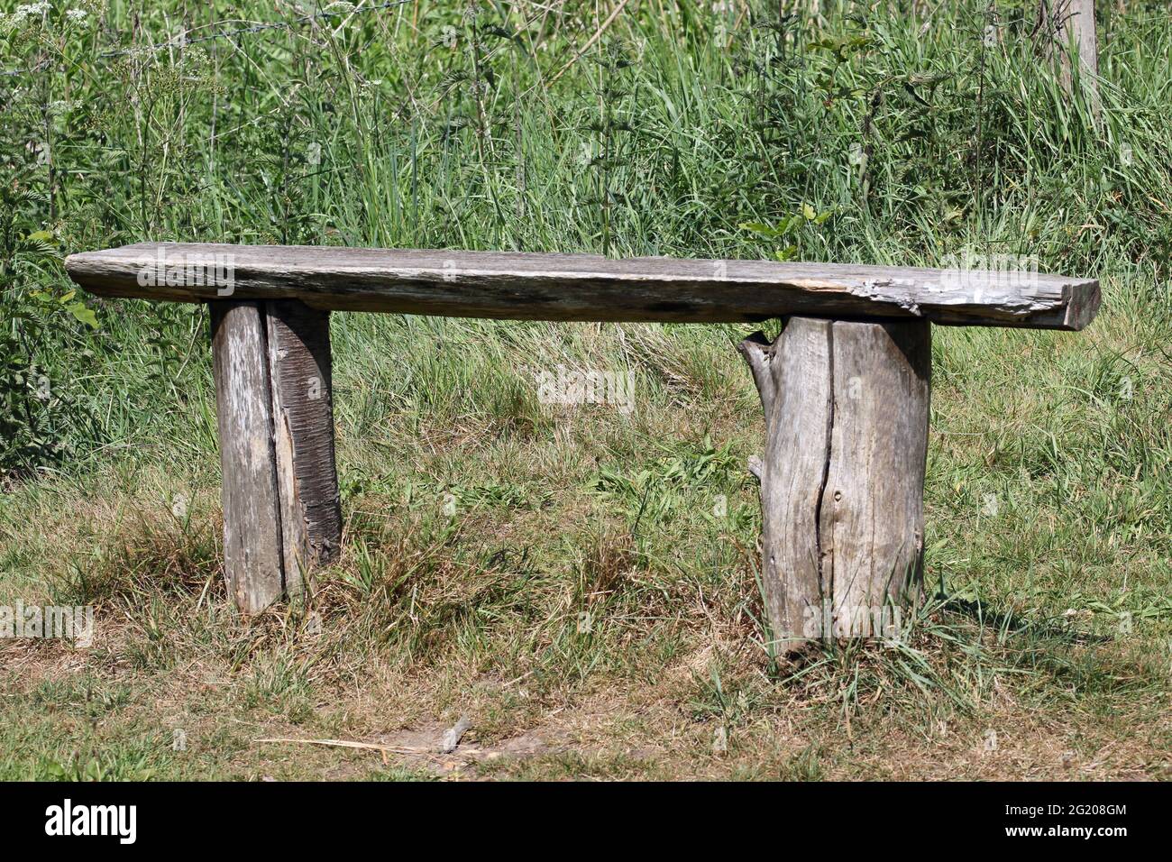 Asiento de banco de madera rústica hecho de dos troncos de tronco de árbol  cortado con una tabla a lo largo de la parte superior y un fondo de hierba  Fotografía de