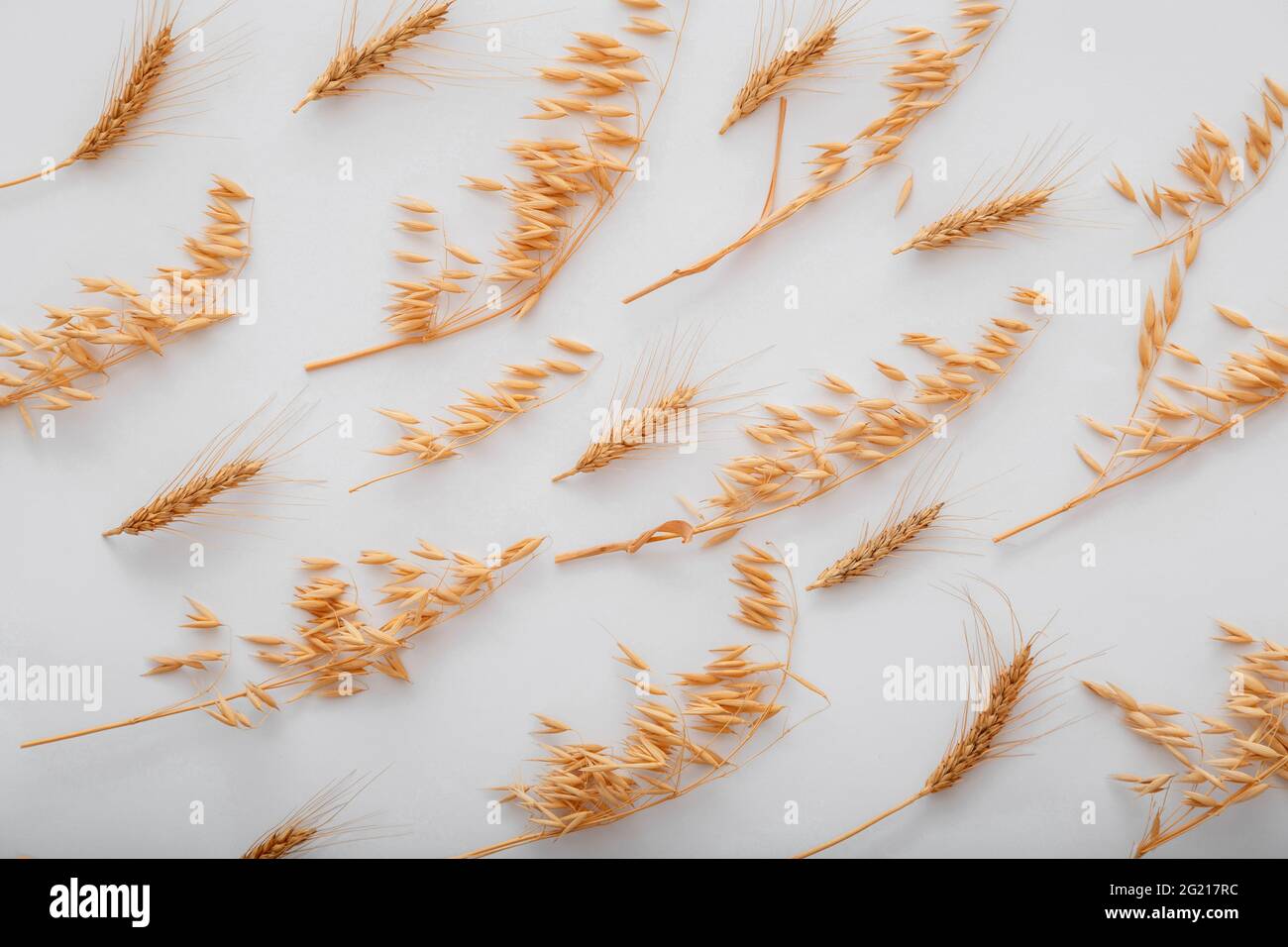 Cebada Patrón de cereales de trigo. Vista superior plana sobre fondo blanco Foto de stock