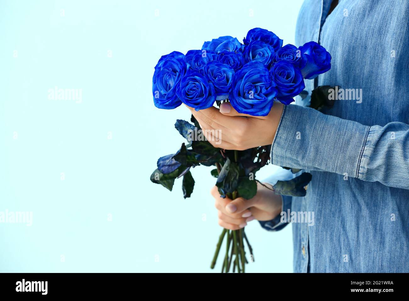 Mujer con hermosas rosas azules sobre fondo de color Fotografía de stock -  Alamy