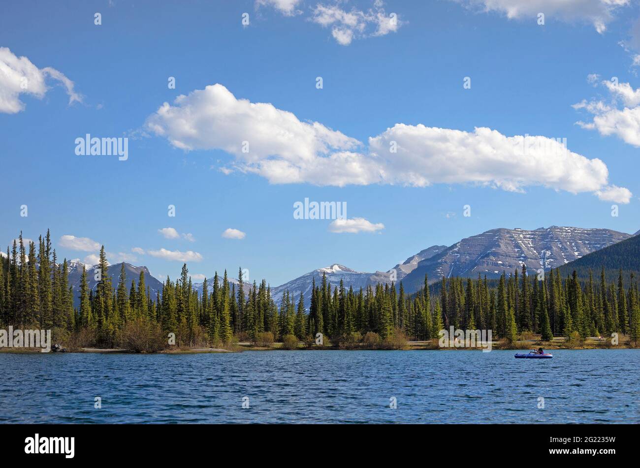 Persona remando un barco en Forgetmenot Pond rodeado por el Bosque de las Montañas Rocosas. Área de recreación provincial Little Elbow, país de Kananaskis Foto de stock