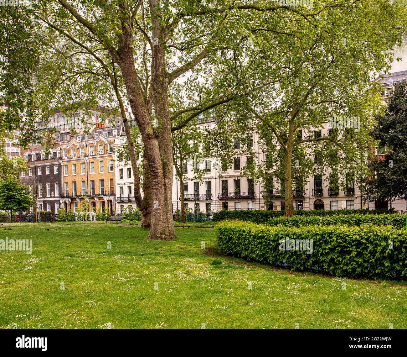 Bloomsbury Square, Holborn, Londres; una gran plaza de jardín diseñada en el 1660s. Parque Histórico catalogado de grado II. Foto de stock
