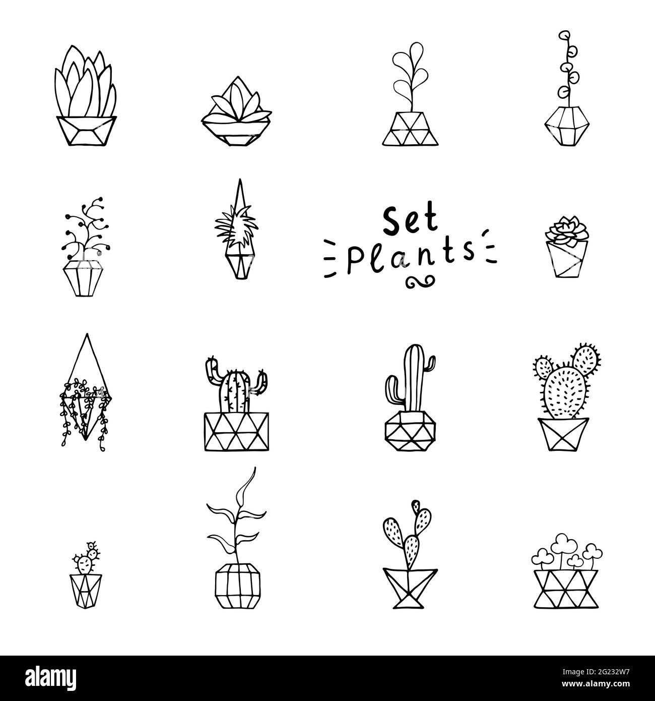 Planta de fideos en conjunto de macetas facetadas. Hojas, suculentos y cactus dibujados a mano con poly flower pot. Perfile las plantas domésticas aisladas sobre un fondo blanco. Cúb Ilustración del Vector