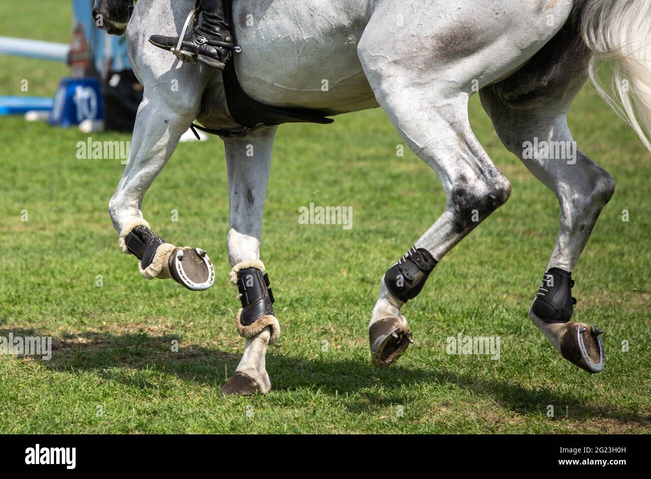 Jockey Com Seu Cavalo Pulando Sobre Um Obstáculo Pulando Sobre O Obstáculo  Na Competição Foto de Stock - Imagem de movimento, equestre: 194863184