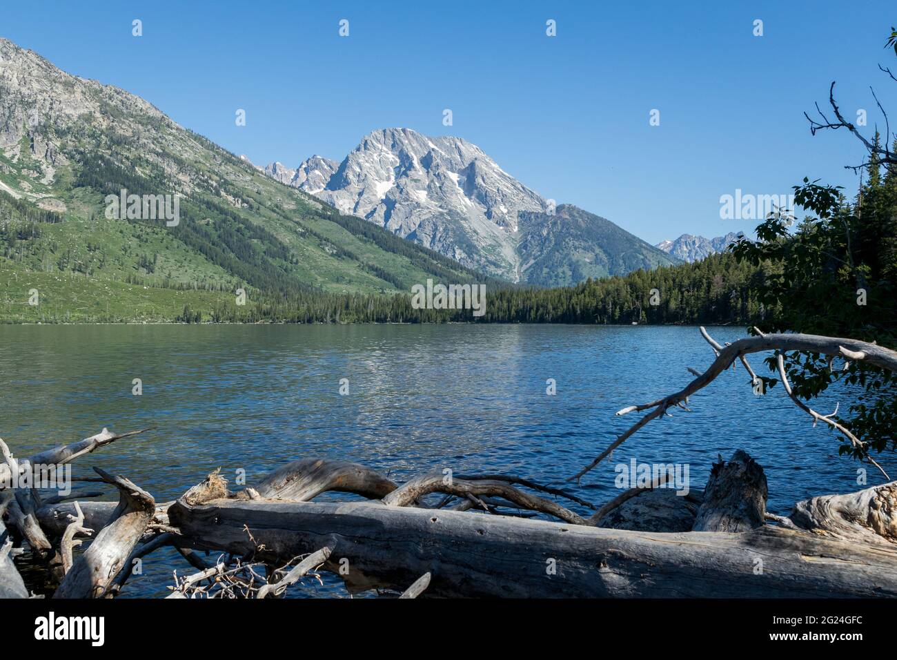 Pico del Monte Moran reflejado en el Lago Jenny en el Parque Nacional Grand Teton Foto de stock