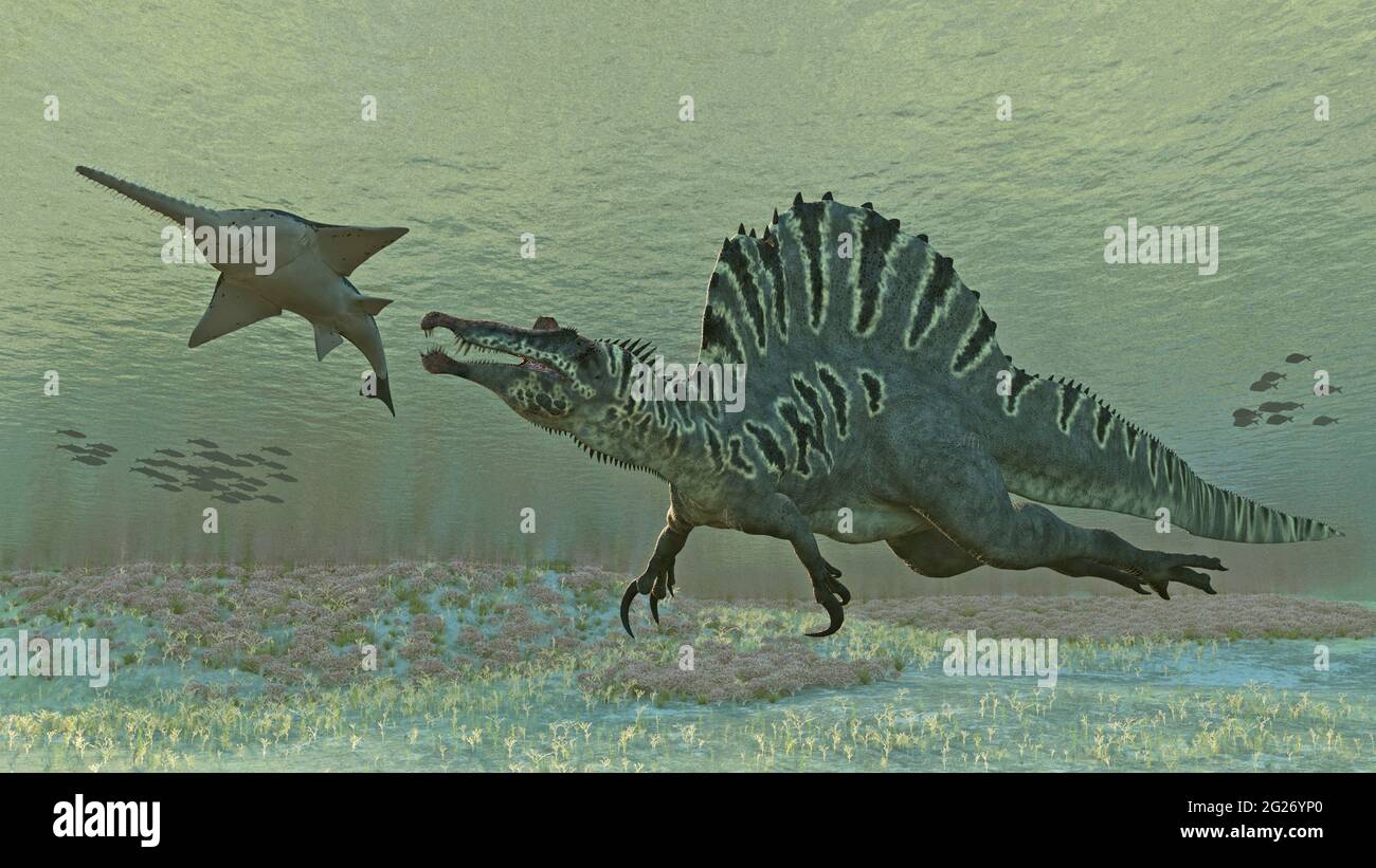 Spinosaurus aegyptiacus caza Onchopristis numida. Foto de stock