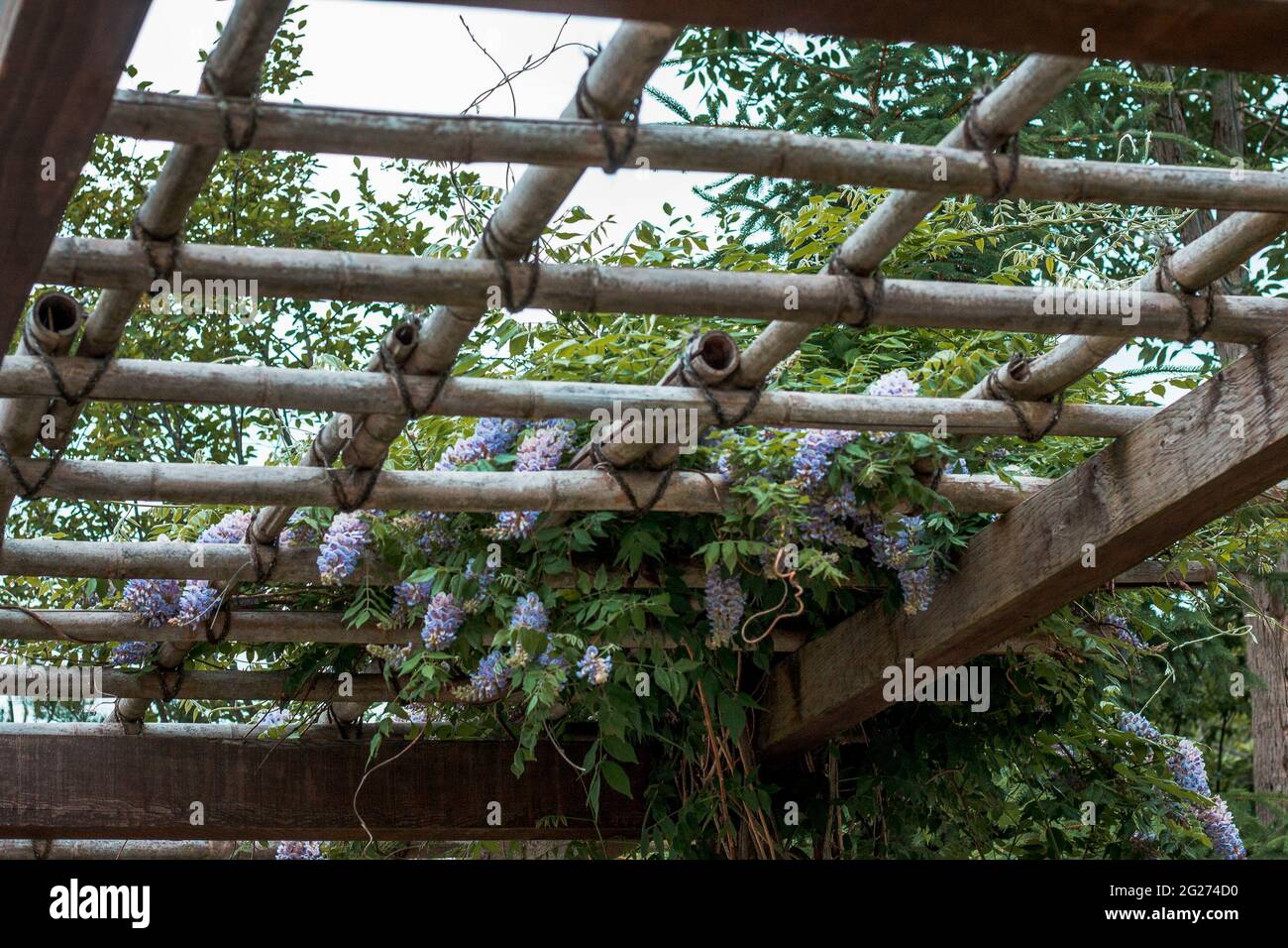 Pérgola japonesa fotografías e imágenes de alta resolución Alamy