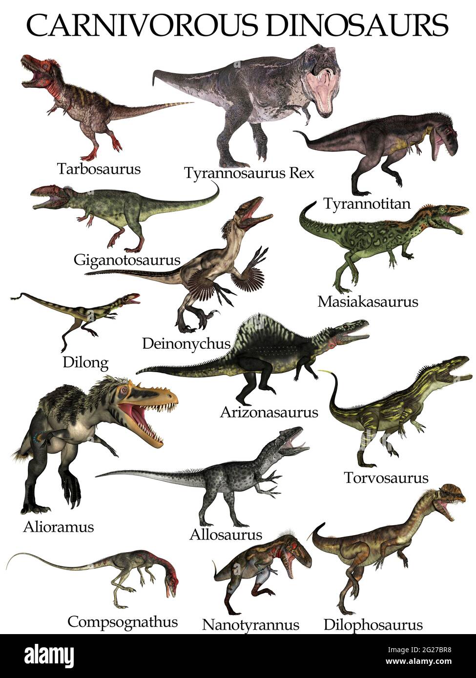 Dinosaurios carnívoros Imágenes recortadas de stock - Alamy