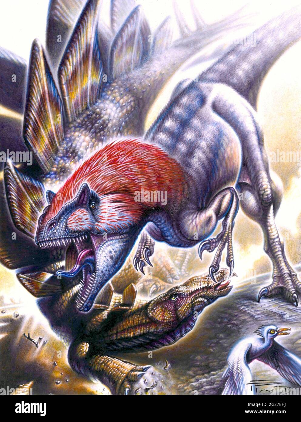 Allosaurus Stegosaurus Fotografías E Imágenes De Alta Resolución Alamy 