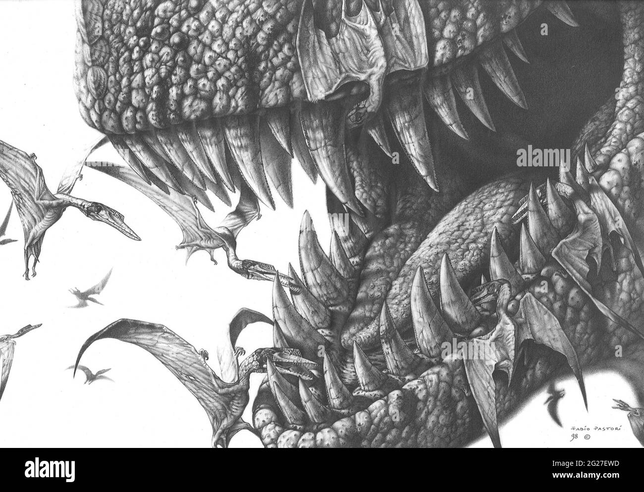 Dibujo de tiranosaurio rex Imágenes de stock en blanco y negro - Alamy