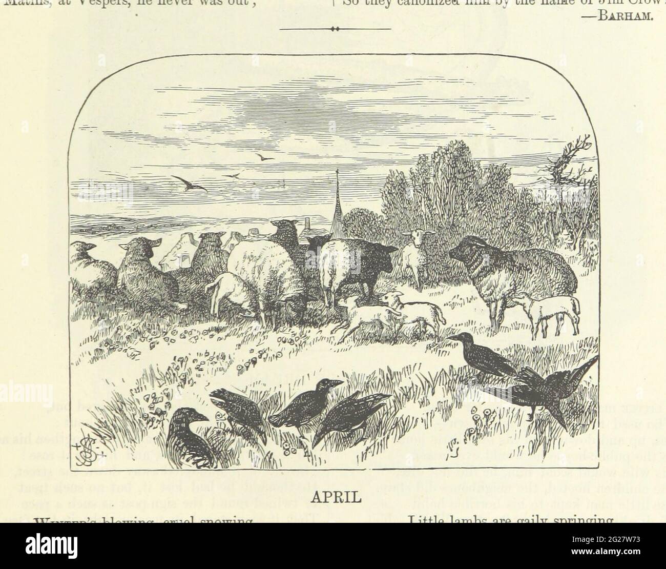 Ilustración histórica vintage de animales y aves alrededor de 1800-1900 Foto de stock