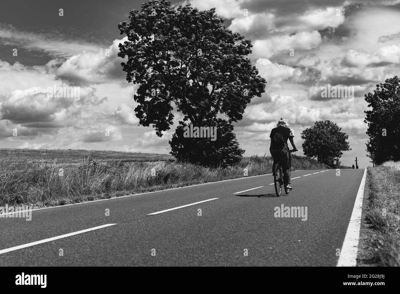 niña montando una bicicleta a lo largo de la carretera de asfalto entre los campos de trigo Foto de stock