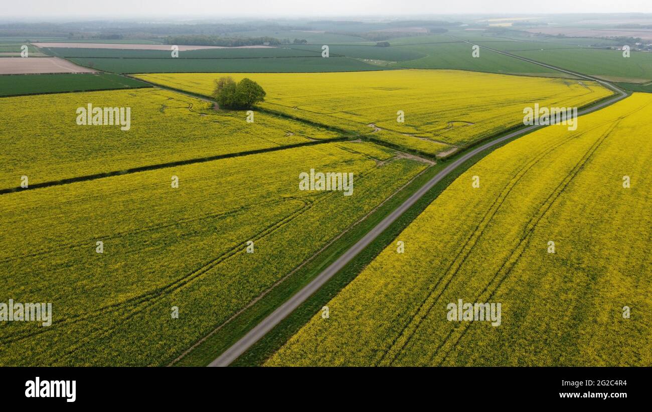 Vista aérea de campos rurales de granja, Kiplingcoates, Vale of York, East Riding of Yorkshire, Inglaterra, Reino Unido Foto de stock