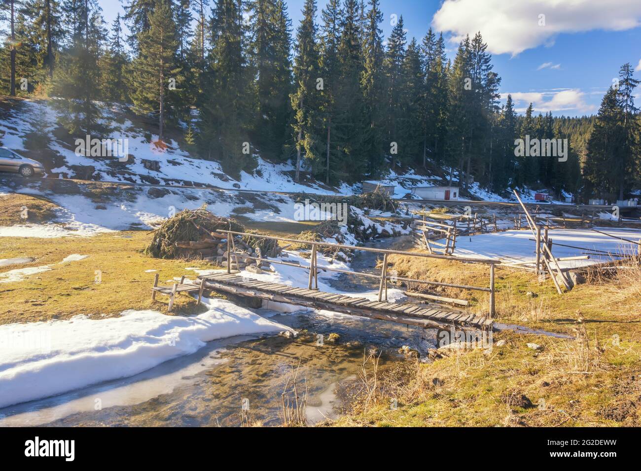 Bosque de invierno, paisaje de montaña en invierno, árboles cubiertos de nieve. Bulgaria, Montañas Rodope Foto de stock