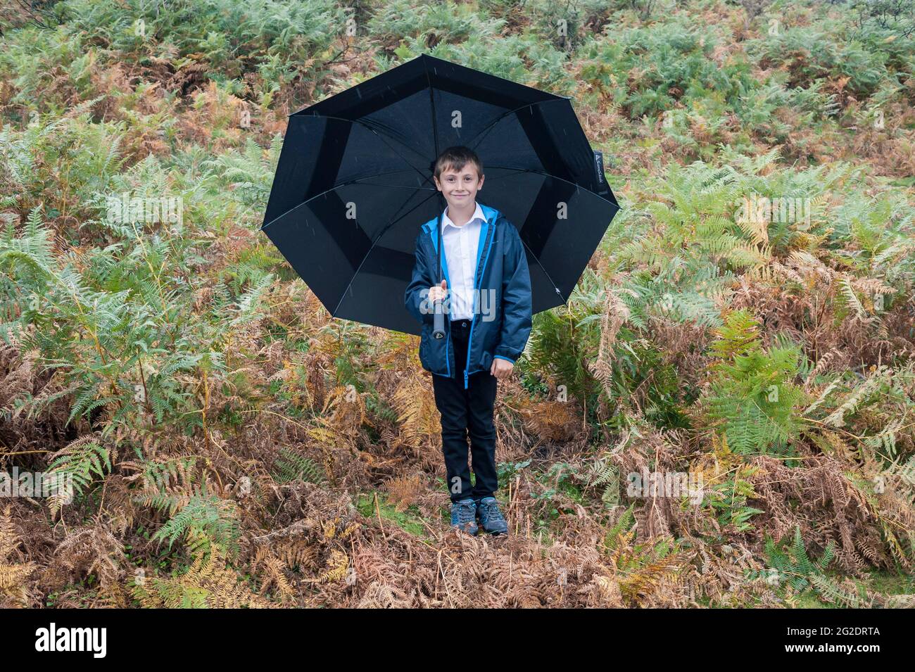 Un niño está parado bajo la lluvia sosteniendo un paraguas grande en el New Forest. Foto de stock
