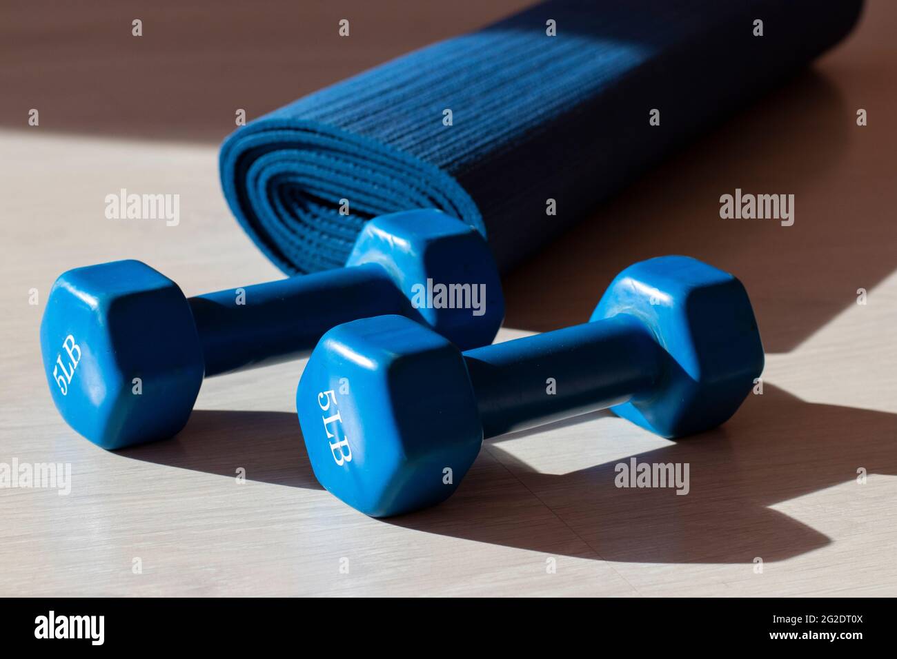 Dos mancuernas azules y una colchoneta de yoga con sombras en el gimnasio.  Concepto de deporte y fitness Fotografía de stock - Alamy